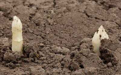 Nachhaltigkeit bedeutet auch, schwierige Entscheidungen zu treffen